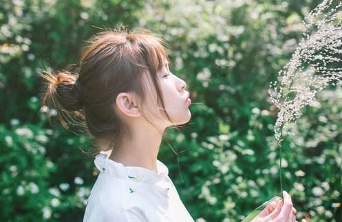 雏菊花园逃生